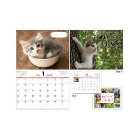 #komamono 季節商品 カレンダー2026 ウオール＆デスクカレンダー わんぱく子猫 KO635779
