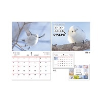 #komamono 季節商品 カレンダー2026 ウオール＆デスクカレンダー ふくふくふわふわシマエナガ KO635816