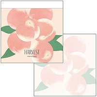 #エルコミューン メモ スクエアメモパッド  Peach MMP-029