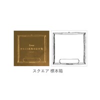#Fonte 付箋 Fonte ひとこと採集日記付箋 スクエア 標本箱  枚数：31枚 FO468354