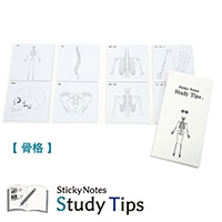 #紙季彩々 Sticky Notes Study Tips 骨格 20枚綴り(8柄) ホワイト FS-SST006