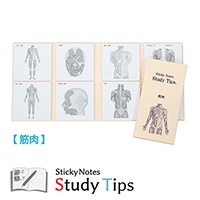 #紙季彩々 Sticky Notes Study Tips 筋肉 20枚綴り(8柄) ピンク FS-SST008
