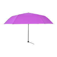 #アンベル 折りたたみ雨傘 ALTERNA SLIM60 親骨サイズ60cm Peony A2759