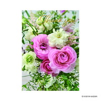 #ダイゴー(国内販売のみ） カード ポストカード5･Thankyou  1 N7848
