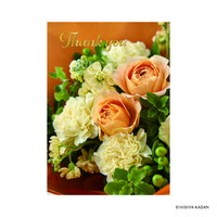 #ダイゴー(国内販売のみ） カード ポストカード5･Thankyou  4 N7851