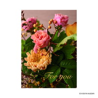 #ダイゴー(国内販売のみ） カード ポストカード5･foryou  3 N7854