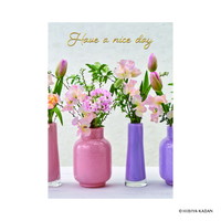 #ダイゴー(国内販売のみ） カード ポストカード5･Have･a･niceday  3 N7858