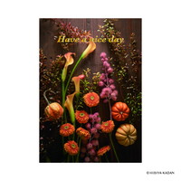 #ダイゴー(国内販売のみ） カード ポストカード5･Have･a･niceday  4 N7859
