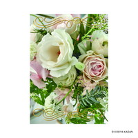 #ダイゴー(国内販売のみ） カード ポストカード5･Framedesingn  2 N7861