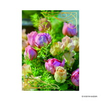 #ダイゴー(国内販売のみ） カード ポストカード5･Framedesingn  4 N7863