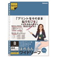 #ナカバヤシ ルーズリーフ はれるんワイドリーフ５０枚Ｂ A4  LL-A404WB