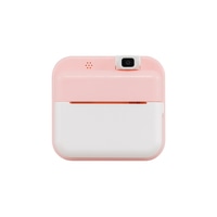 #ナカバヤシ 生活雑貨 トイナカメラスムース  ピンク CAM-T301-P