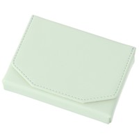#レイメイ藤井 身辺雑貨 ノフェス･ネームカードケース  アイスグリーン NSN1453M
