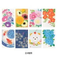 #デザインフィルミドリ(国内販売のみ） ポストカード 夏ポストカード セット 80994006