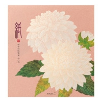 #デザインフィルミドリ(国内販売のみ） 秋の彩り 便箋037 シルク  ダリア柄 81037006