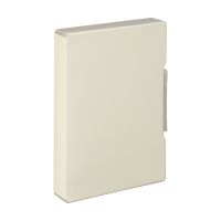 #リヒトラブ 収納用品 ファイルケース A4 アイボリー A2039-16