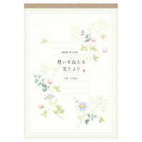 #エヌビー社 レター 便箋･佳乃 B5相当 想い伝える 5290204
