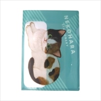 #学研ステイフル(国内販売のみ） ファイル ねこハラA4ポケットファイル A4 グリーン D06073