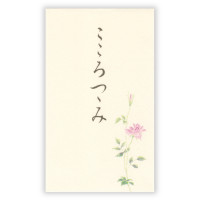 #エヌビー社 祝儀袋 ぽち袋 A こころつつみ 5169007