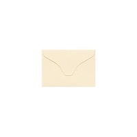 #竹尾 レター ペーパーパレット 封筒 江戸小染･絹 1236117