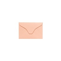 #竹尾 レター ペーパーパレット 封筒 マーメイド･桜 1726737
