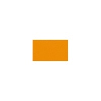 #PCM竹尾 メッセージカード ペーパーパレット　 タント　Ｎ－５６（オレンジ） 1745231