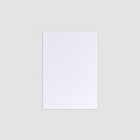 #竹尾 カード ペーパーパレット ポストカード マーメイド･フロスティホワイト 1747402
