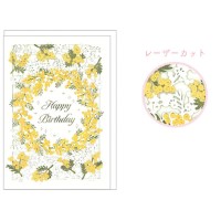 #クローズピン 祝儀用品 tomokoレースの祝儀袋  さくら KP16675