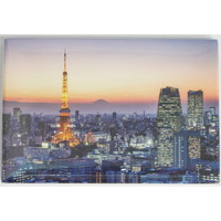 #フロンティア 身辺雑貨 マグネット  東京 夜景 IM-012