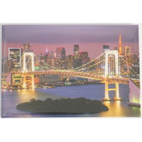 #フロンティア 身辺雑貨 マグネット  東京お台場 夜景 IM-013
