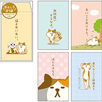#パインブック 祝儀用品 おもしろぽち袋 パステル ねこ s512011