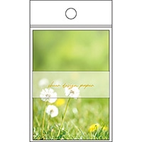 #パインブック メモ帳 シアーデザインペーパーメモ  フォト･グリーン s607013