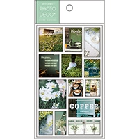 #パインブック シール トレペシール･フォト  グリーン t605013