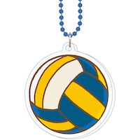 #サザンDSクリエイト 身辺雑貨 部活 ファイブシ－エムチャ－ム  バレーボール 20584