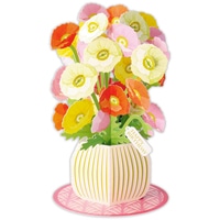 #日本ホールマーク(国内販売のみ） カード 誕生お祝い･立体ポピー  立体ポピー 849917