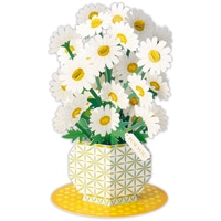 #日本ホールマーク(国内販売のみ） カード 多目的･立体デイジー  立体デイジー 849924