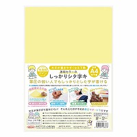 #共栄プラスチック 下敷き 透明カラーのしっかりシタ字キ　　 Ａ４判 パイン TCS-A4-PI