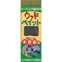#北星鉛筆 絵の具 ウッドペイント単色 黒 120g   33757