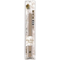 #北星鉛筆 シャープペンシル 大人の鉛筆 替え芯 6B 5本入 2mm  19983