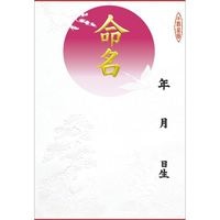 #ササガワ 命名紙 命名紙 B4判変形 金字 浮出   28-411