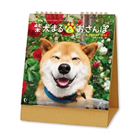 #新日本カレンダー 2026年度版カレンダー 卓上　柴犬まるとおさんぽ   NK8529_26