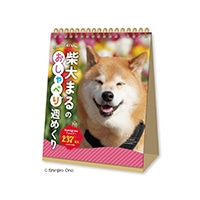#新日本カレンダー 2026年度版カレンダー 柴犬まるのおしゃべり週めくり   NK4600_26