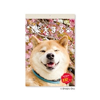 #新日本カレンダー 2026年度版カレンダー 柴犬まる　小   NK4010_26