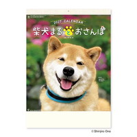 #新日本カレンダー 2027年度カレンダー 柴犬まるとおさんぽ（壁掛け）   NK-8035_27