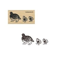 #こどものかお 印章用品 アイラブスタンプ  雷鳥･夏 1535-033