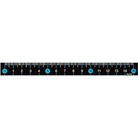 【レイメイ藤井】スリムカラー定規　１５㎝　ブルー  AJR201A