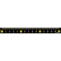 【レイメイ藤井】スリムカラー定規　１５㎝　イエロー  AJR201Y