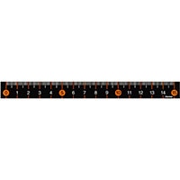 【レイメイ藤井】スリムカラー定規　１５㎝　オレンジ  AJR201D