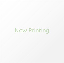 ※店舗販売のみ_【デザインフィルノックス】 リフィル<M>インデックス横12山タイプ12枚 523-601